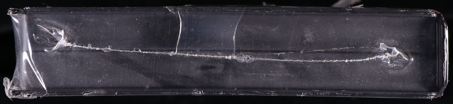 Best of the Best: Championship Karate SEGA GENESIS 9.6 B+ - NEBRASKA COLLECTION