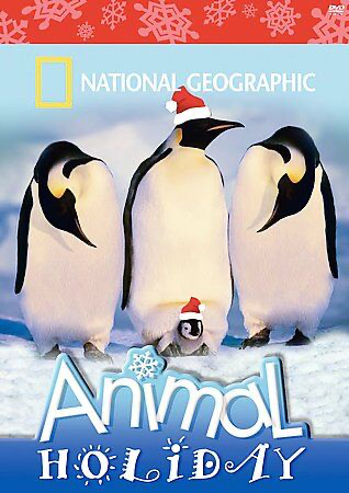 National Geographic: Animal Holiday - DVD