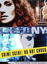 CSI: Crime Scene Investigation: NY (Paramount): The Complete 3rd Season - DVD