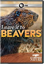 Nature: Leave It To Beavers - DVD