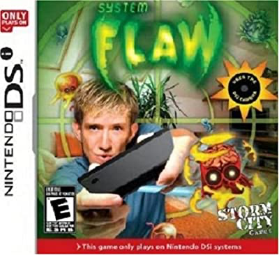 System Flaw - DS