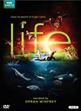 Life - DVD