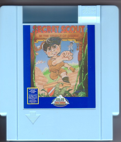 Secret Scout in the Temple of Demise (Blue Shell) - NES