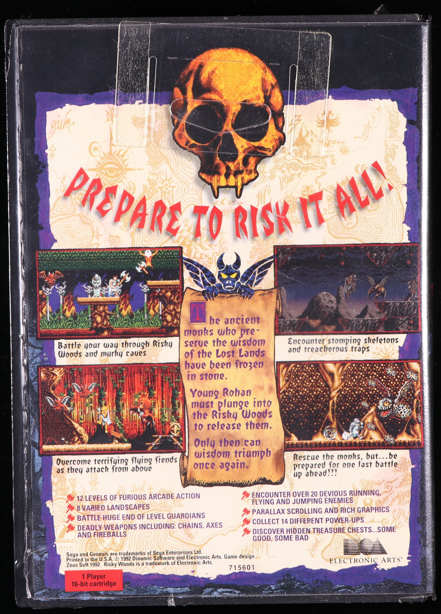Risky Woods SEGA GENESIS 9.4 A - NEBRASKA COLLECTION