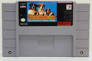 Beethoven: The Ultimate Canine Caper - SNES