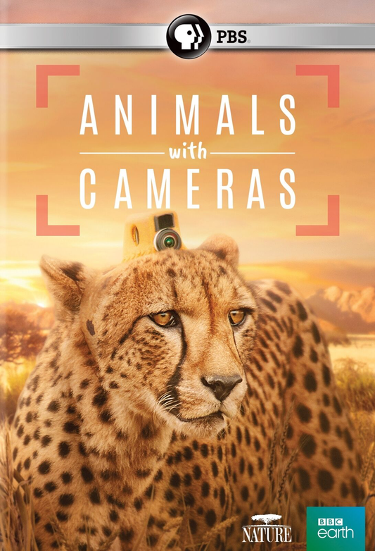 Nature: Animals With Cameras - DVD