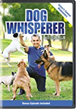 Dog Whisperer With Cesar Millan: Cesar's Canine Makeovers - DVD