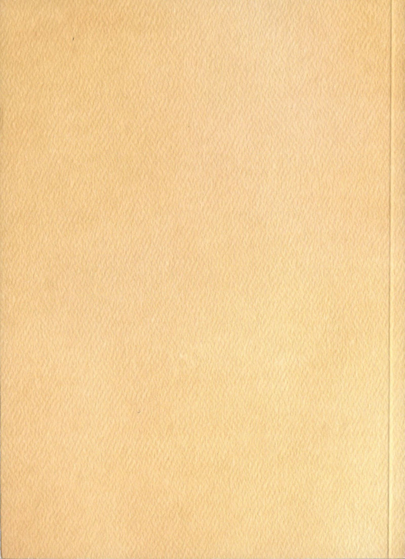 Onechanbara Z2: Chaos - Banana Split Edition - PS4