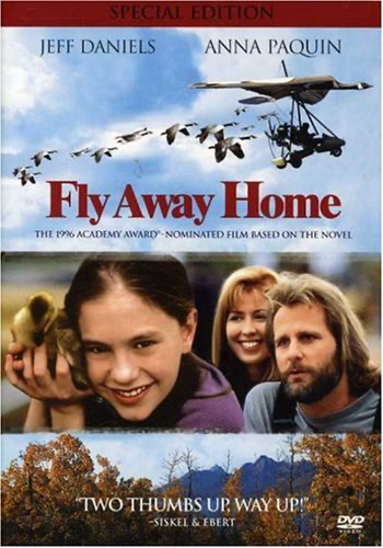 Fly Away Home Special Edition - DVD
