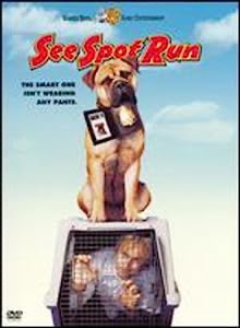See Spot Run Special Edition - DVD